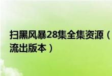 扫黑风暴28集全集资源（扫黑风暴28集泄露 扫黑风暴28集流出版本）