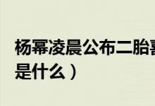 杨幂凌晨公布二胎喜讯（杨幂的421事件到底是什么）