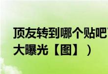 顶友转到哪个贴吧了（顶族qq群和百度贴吧大曝光【图】）