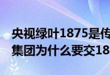 央视绿叶1875是传销吗（中央13台报道绿叶集团为什么要交1875）