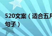 520文案（适合五月二十号发的文案 52o表白句子）