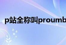 p站全称叫proumb怎么进（p站官网网站）