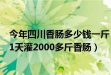 今年四川香肠多少钱一斤（反季香肠超级火！猪肉降价商贩1天灌2000多斤香肠）