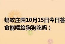 蚂蚁庄园10月15日今日答案大全（巧克力是很多人眼里的美食能喂给狗狗吃吗）