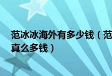 范冰冰海外有多少钱（范冰冰被曝欠6亿范冰冰为什么会欠真么多钱）