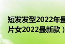 短发发型2022年最新款女图片（减龄短发图片女2022最新款）