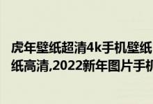 虎年壁纸超清4k手机壁纸（2022虎年壁纸可爱,2022虎年壁纸高清,2022新年图片手机壁纸）