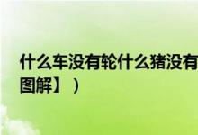 什么车没有轮什么猪没有嘴（组成6个浪漫字的正确答案【图解】）