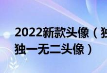 2022新款头像（独特好看的头像图片 2022独一无二头像）