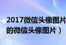 2017微信头像图片大全（2018最好看最个性的微信头像图片）