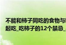 不能和柿子同吃的食物与吃柿子的禁忌（柿子不能和什么一起吃_吃柿子的12个禁忌_与柿子相克的食物表）