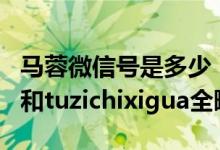 马蓉微信号是多少（马蓉两个微信号FBi777k和tuzichixigua全曝光）