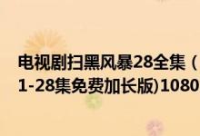 电视剧扫黑风暴28全集（扫黑风暴全集免费播放 扫黑风暴(1-28集免费加长版)1080p高清）