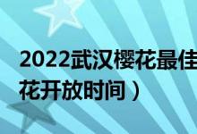 2022武汉樱花最佳观赏时间（2022年武大樱花开放时间）