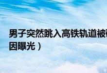 男子突然跳入高铁轨道被碾身亡什么情况（事件始末死亡原因曝光）