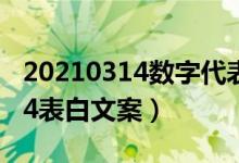 20210314数字代表什么意思（20215201314表白文案）