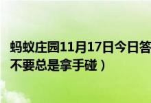 蚂蚁庄园11月17日今日答案大全（下列哪种盆栽花有毒最好不要总是拿手碰）