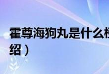 霍尊海狗丸是什么梗（海狗丸霍尊含义出处介绍）