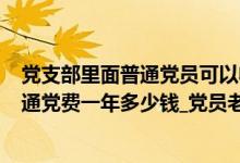 党支部里面普通党员可以收党费吗（党费收缴标准2020_普通党费一年多少钱_党员老了后有什么待遇）