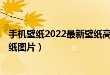 手机壁纸2022最新壁纸高清（手机壁纸最火的图片 2022壁纸图片）