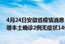 4月24日安徽省疫情消息（4月24日安徽疫情最新消息：新增本土确诊2例无症状14例）