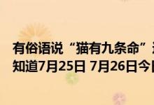 有俗语说“猫有九条命”这是真的吗（小鸡宝宝今日答案早知道7月25日 7月26日今日蚂蚁庄园答案最新）