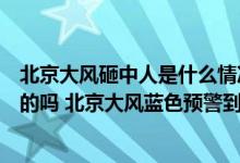 北京大风砸中人是什么情况（北京大风致四人被砸身亡是真的吗 北京大风蓝色预警到什么时候）