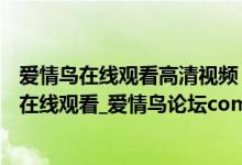 爱情鸟在线观看高清视频（爱情鸟免费论坛_爱情鸟HD高清在线观看_爱情鸟论坛com高清免费）