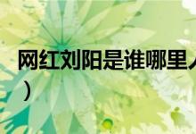 网红刘阳是谁哪里人（网红刘阳怎么火起来的）