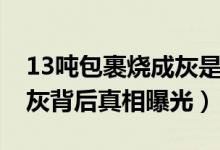 13吨包裹烧成灰是怎么回事（13吨包裹烧成灰背后真相曝光）