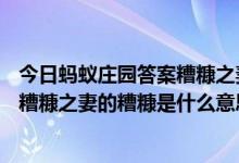 今日蚂蚁庄园答案糟糠之妻（支付宝蚂蚁庄园3.1答案汇总：糟糠之妻的糟糠是什么意思）