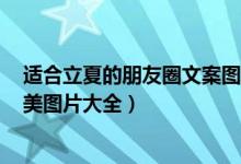 适合立夏的朋友圈文案图片（2022年立夏图片 立夏照片唯美图片大全）