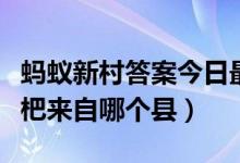 蚂蚁新村答案今日最新（享誉海内外的三潭枇杷来自哪个县）