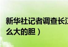 新华社记者调查长江口建空城怎么回事（谁这么大的胆）