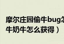 摩尔庄园偷牛bug怎么回事（摩尔庄园手游母牛奶牛怎么获得）