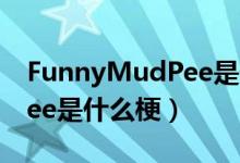 FunnyMudPee是什么意思（funny mud pee是什么梗）