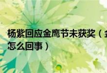 杨紫回应金鹰节未获奖（金鹰节女神投票 杨紫票数反超热巴怎么回事）