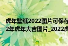 虎年壁纸2022图片可保存高清（2022年虎年大吉壁纸_2022年虎年大吉图片_2022虎年手机壁纸）