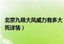 北京九级大风威力有多大（大风天53岁女驴友被吹落悬崖摔死详情）