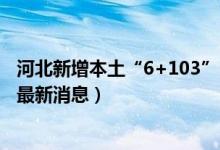 河北新增本土“6+103”（今天邯郸、雄安新区、保定疫情最新消息）