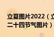 立夏图片2022（立夏节气图片大全 2022年二十四节气图片）