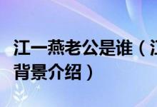 江一燕老公是谁（江一燕老公赵汉唐个人资料背景介绍）