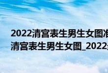 2022清宫表生男生女图准确（2022年怀孕清宫表_2022年清宫表生男生女图_2022最准清宫图）