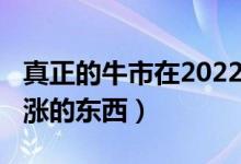 真正的牛市在2022年出现（2022年最可能暴涨的东西）