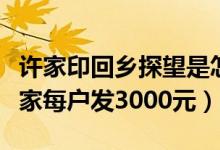 许家印回乡探望是怎么回事（首富许家印回老家每户发3000元）