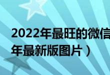 2022年最旺的微信头像大全（微信头像2022年最新版图片）