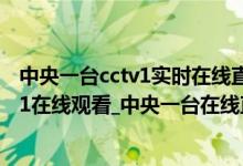 中央一台cctv1实时在线直播（中央电视台一套直播_CCTV-1在线观看_中央一台在线直播观看视频播放）