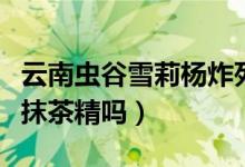 云南虫谷雪莉杨炸死不死虫（云南虫谷痋人是抹茶精吗）