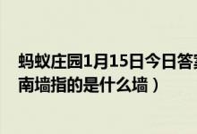 蚂蚁庄园1月15日今日答案大全（俗语不撞南墙不回头中的南墙指的是什么墙）