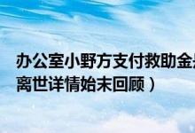 办公室小野方支付救助金是什么情况（女孩模仿自制爆米花离世详情始末回顾）